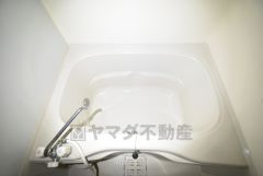 バス