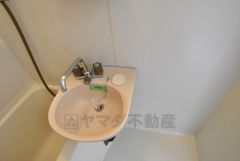 洗面ボール