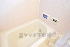 バス