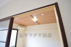 照明