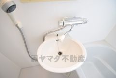 洗面ボール