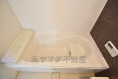 バス