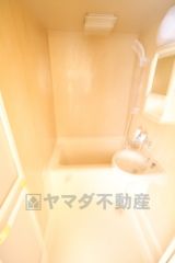 バス