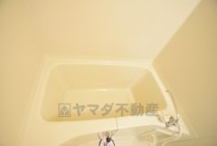 バス