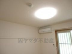 照明
